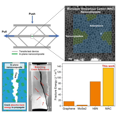 Intrinsic toughening in monolayer amorphous carbon nanocomposites