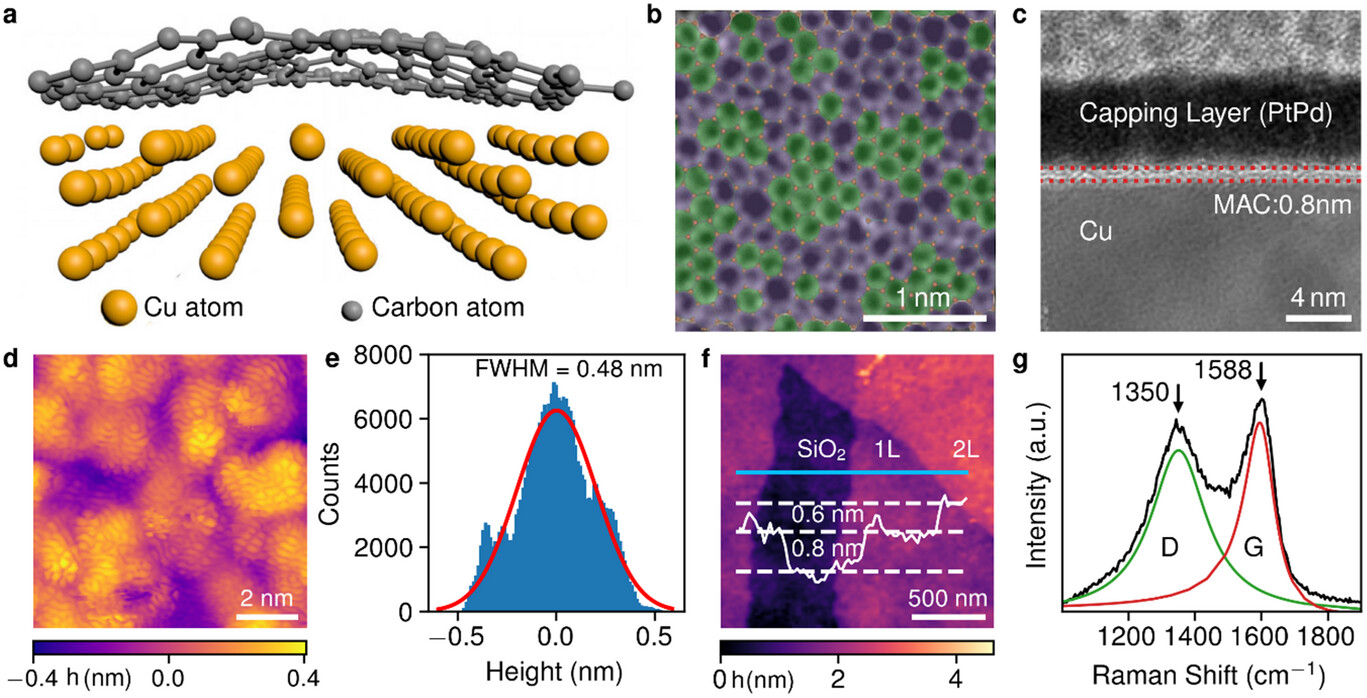 Superior Adhesion of Monolayer Amorphous Carbon to Copper