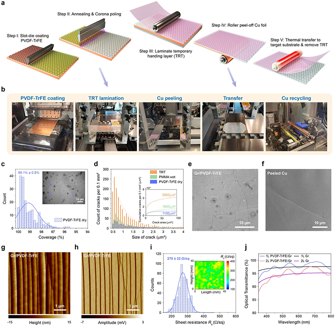 Dry Transfer of CVD Graphene Film Using Adhesion Switchable Ferroelectric Polymers