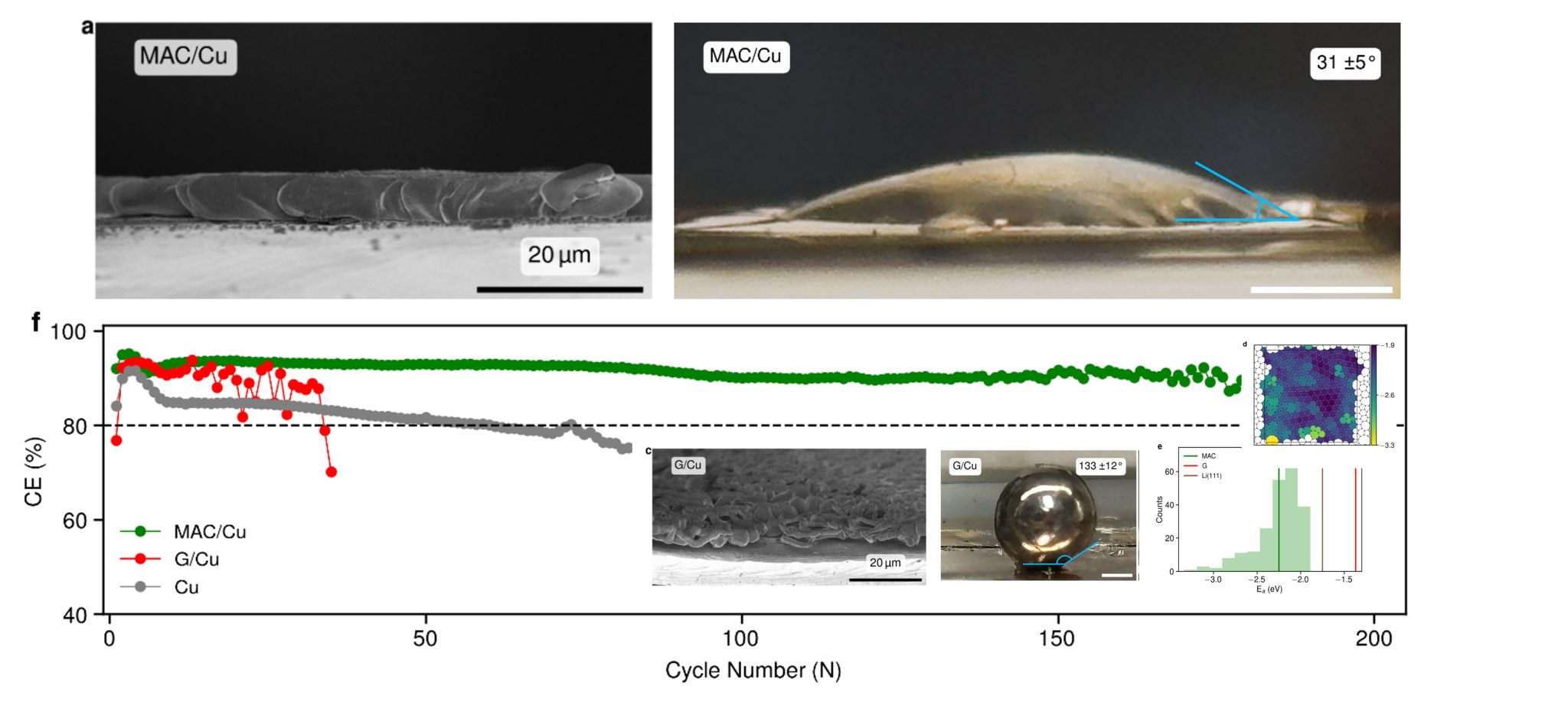 Monolayer Amorphous Carbon: Unlocking Disorder-Induced Lithiophilicity