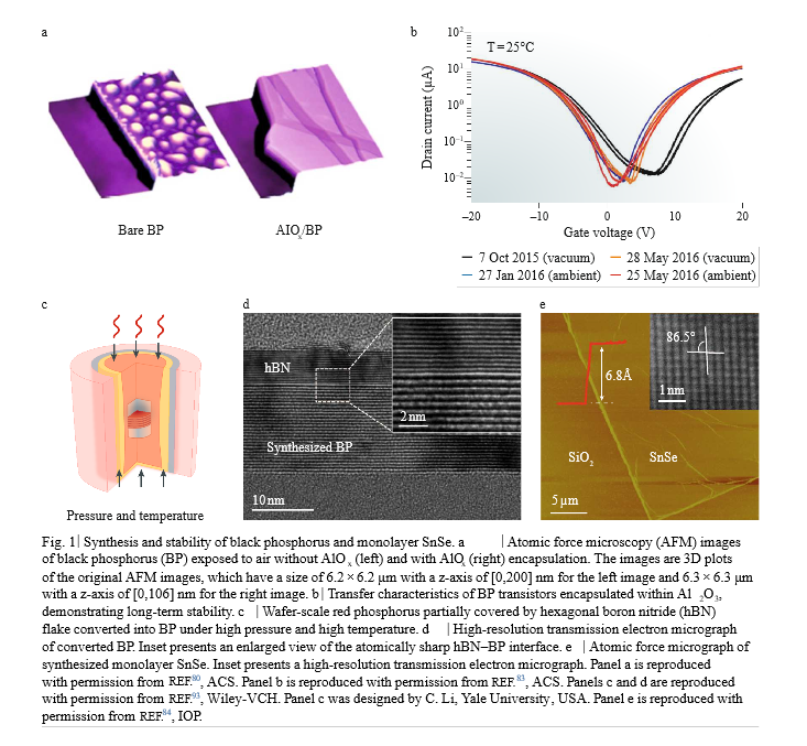 Black phosphorus and its isoelectronic  materials